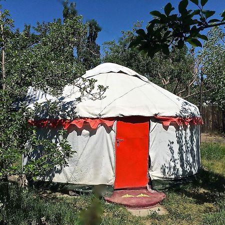 Отель Arista Yurt Camp Каракол Номер фото